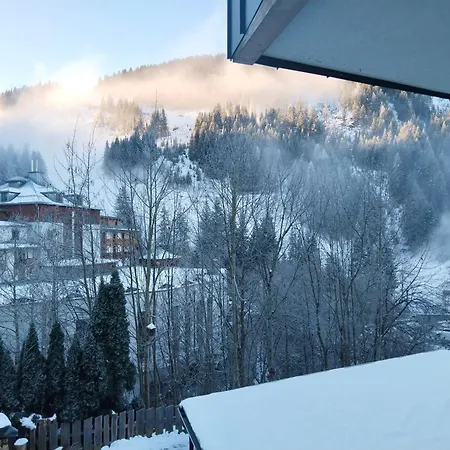 アパート Ammerer *