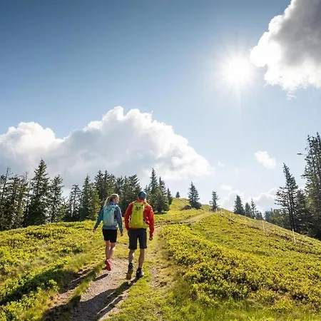 Ammerer Apartament *