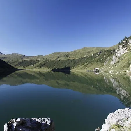 Ammerer Apartament *