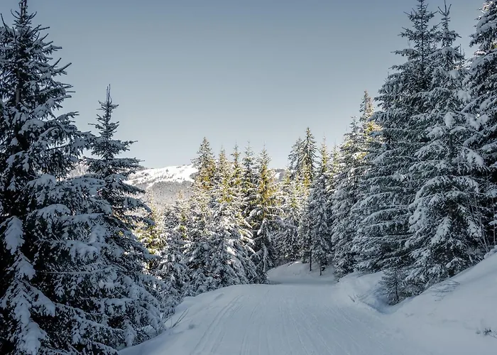 Ammerer アパート *