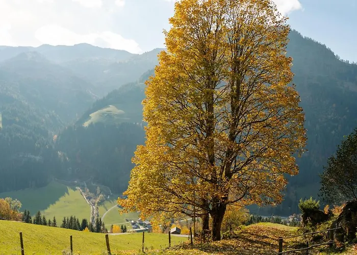 Ammerer アパート *