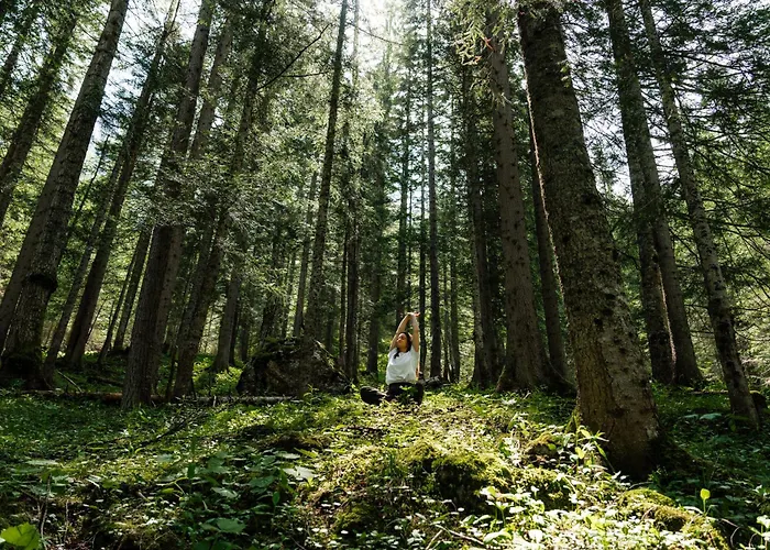 Ammerer ヴァークライン